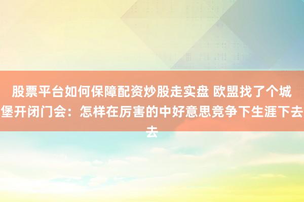股票平台如何保障配资炒股走实盘 欧盟找了个城堡开闭门会：怎样在厉害的中好意思竞争下生涯下去