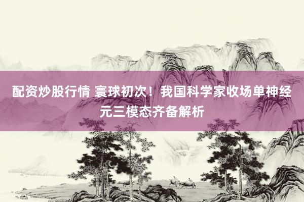 配资炒股行情 寰球初次！我国科学家收场单神经元三模态齐备解析
